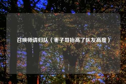 召唤师请归队（枣子哥抬高了队友高度）