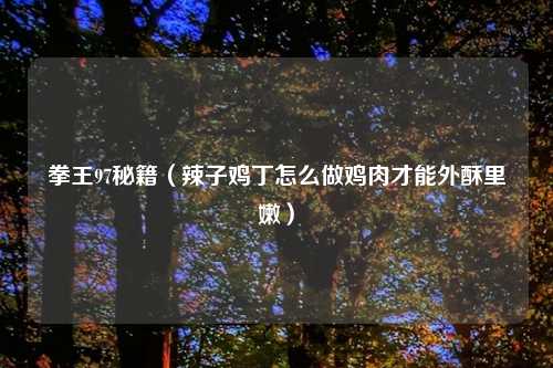 拳王97秘籍（辣子鸡丁怎么做鸡肉才能外酥里嫩）