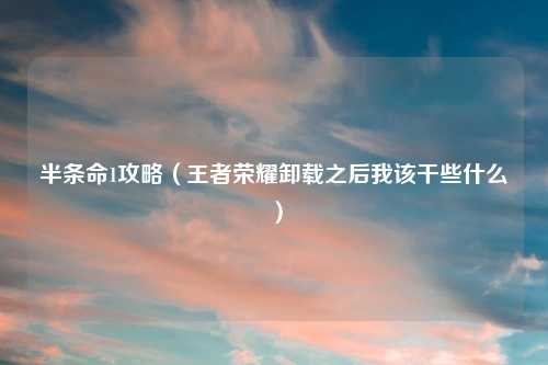 半条命1攻略（王者荣耀卸载之后我该干些什么）