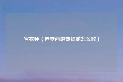 宣花锤（造梦西游宠物蛇怎么收）