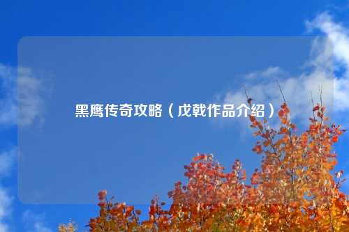 黑鹰传奇攻略（戊戟作品介绍）