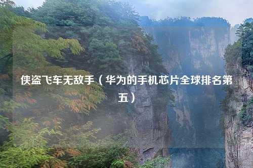 侠盗飞车无敌手（华为的手机芯片全球排名第五）