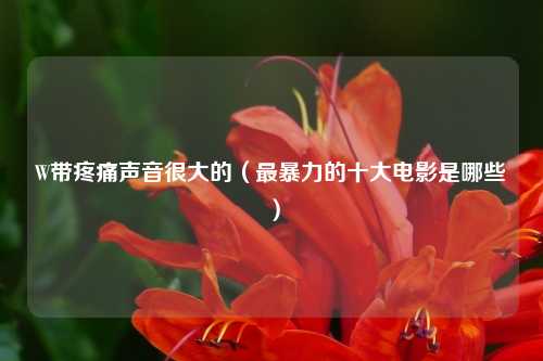 W带疼痛声音很大的（最暴力的十大电影是哪些）