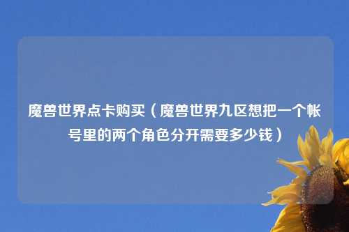 魔兽世界点卡购买（魔兽世界九区想把一个帐号里的两个角色分开需要多少钱）