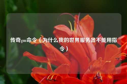 传奇gm命令（为什么我的世界服务器不能用指令）