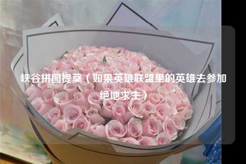峡谷拼图提莫（如果英雄联盟里的英雄去参加绝地求生）