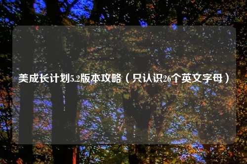 美成长计划5.2版本攻略（只认识26个英文字母）