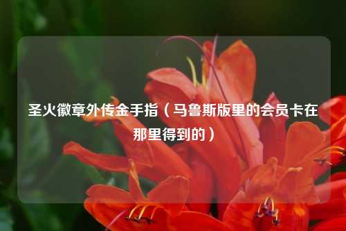 圣火徽章外传金手指（马鲁斯版里的会员卡在那里得到的）