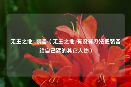 无主之地2 装备（无主之地2有没有办法把装备给自己建的其它人物）