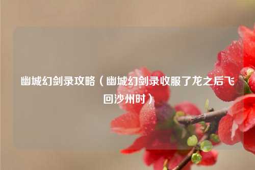 幽城幻剑录攻略（幽城幻剑录收服了龙之后飞回沙州时）