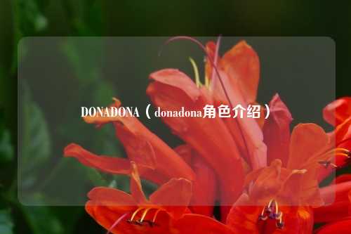 DONADONA（donadona角色介绍）