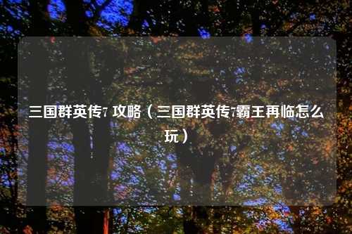 三国群英传7 攻略（三国群英传7霸王再临怎么玩）