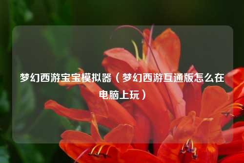 梦幻西游宝宝模拟器（梦幻西游互通版怎么在电脑上玩）