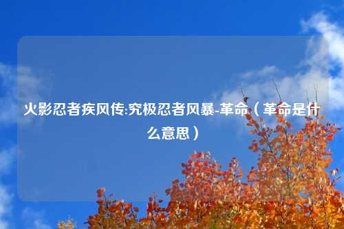 火影忍者疾风传:究极忍者风暴-革命（革命是什么意思）