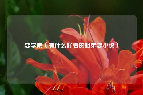 恋学院（有什么好看的姐弟恋小说）