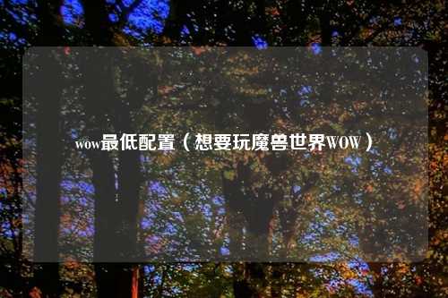 wow最低配置（想要玩魔兽世界WOW）