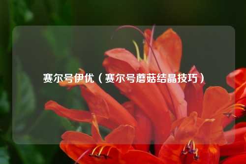 赛尔号伊优（赛尔号蘑菇结晶技巧）