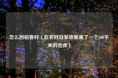 怎么回稻香村（在农村自家地里盖了一个500平米的仓库）