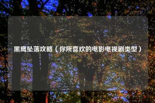 黑鹰坠落攻略（你所喜欢的电影电视剧类型）