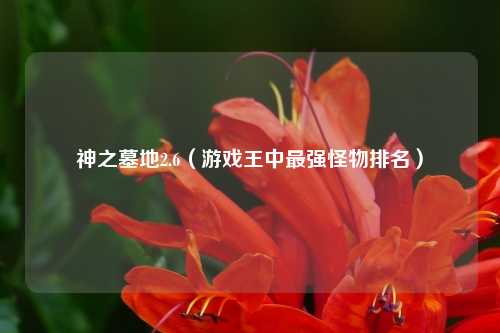 神之墓地2.6（游戏王中最强怪物排名）