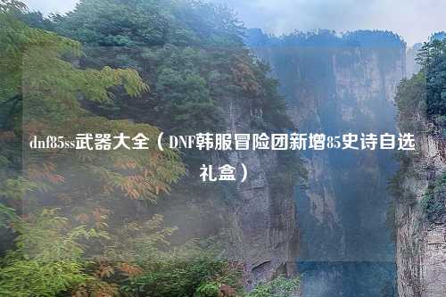 dnf85ss武器大全（DNF韩服冒险团新增85史诗自选礼盒）