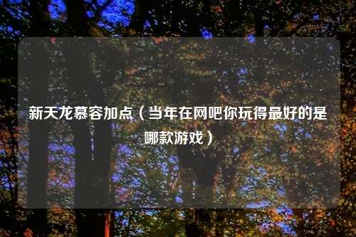 新天龙慕容加点（当年在网吧你玩得最好的是哪款游戏）