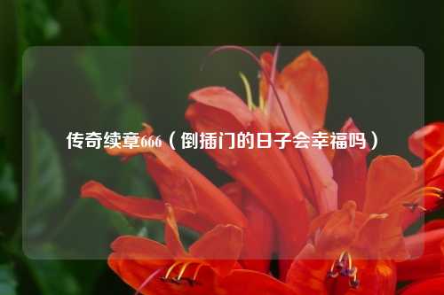 传奇续章666（倒插门的日子会幸福吗）