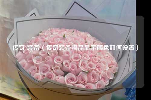 传奇 装备（传奇装备物品显示颜色如何设置）