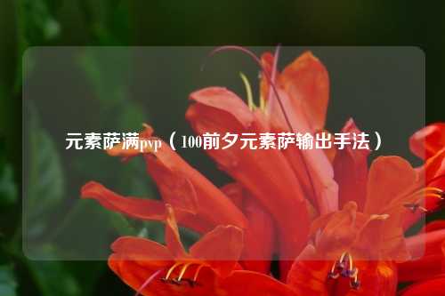 元素萨满pvp（100前夕元素萨输出手法）