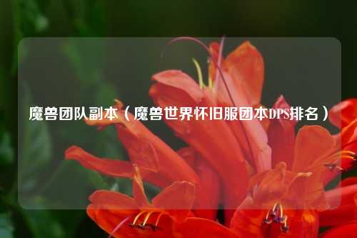 魔兽团队副本（魔兽世界怀旧服团本DPS排名）