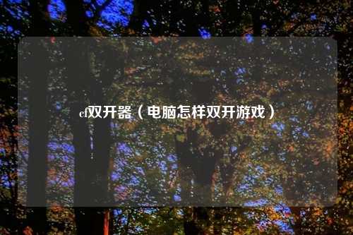 cf双开器（电脑怎样双开游戏）
