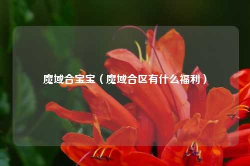 魔域合宝宝（魔域合区有什么福利）