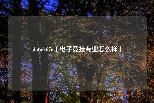 dota6.67c（电子竞技专业怎么样）
