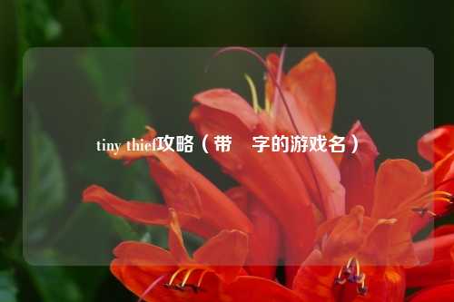 tiny thief攻略（带尐字的游戏名）
