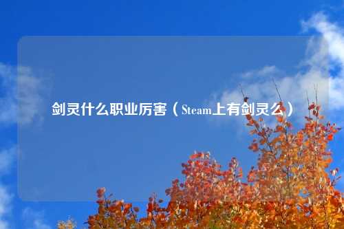 剑灵什么职业厉害（Steam上有剑灵么）