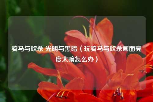 骑马与砍杀 光明与黑暗（玩骑马与砍杀画面亮度太暗怎么办）