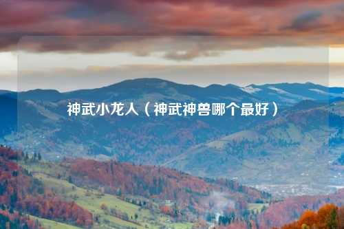 神武小龙人（神武神兽哪个最好）