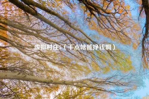 虚拟村庄5（干点啥能挣钱啊）