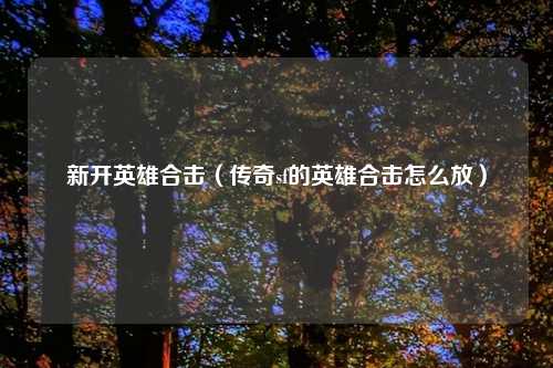 新开英雄合击（传奇sf的英雄合击怎么放）