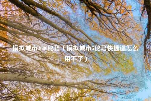 模拟城市3000秘籍（模拟城市5秘籍快捷键怎么用不了）