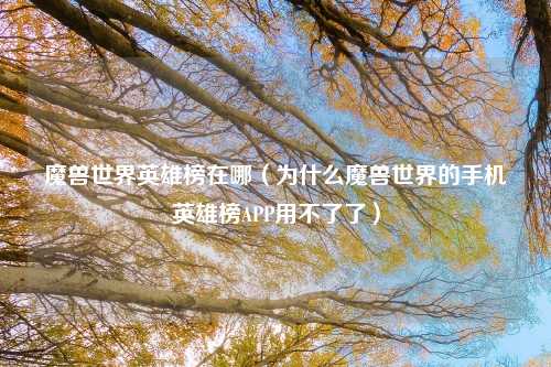 魔兽世界英雄榜在哪（为什么魔兽世界的手机英雄榜APP用不了了）