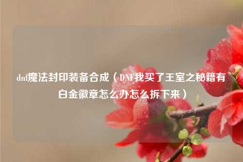 dnf魔法封印装备合成（DNF我买了王室之秘籍有白金徽章怎么办怎么拆下来）