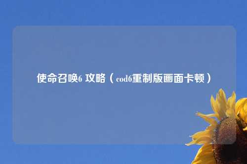 使命召唤6 攻略（cod6重制版画面卡顿）