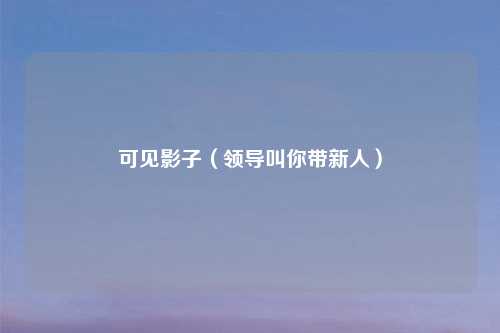 可见影子（领导叫你带新人）