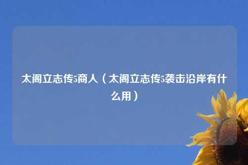 太阁立志传5商人（太阁立志传5袭击沿岸有什么用）