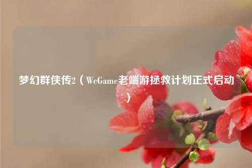 梦幻群侠传2（WeGame老端游拯救计划正式启动）