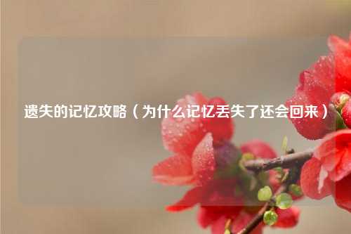 遗失的记忆攻略（为什么记忆丢失了还会回来）