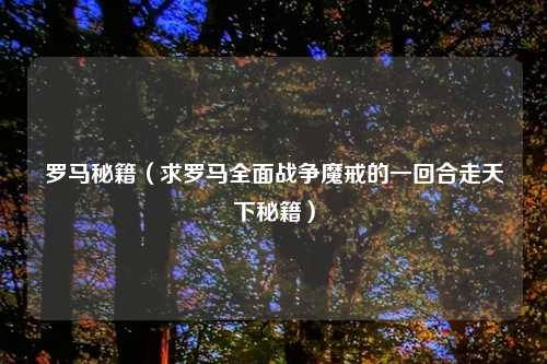 罗马秘籍（求罗马全面战争魔戒的一回合走天下秘籍）