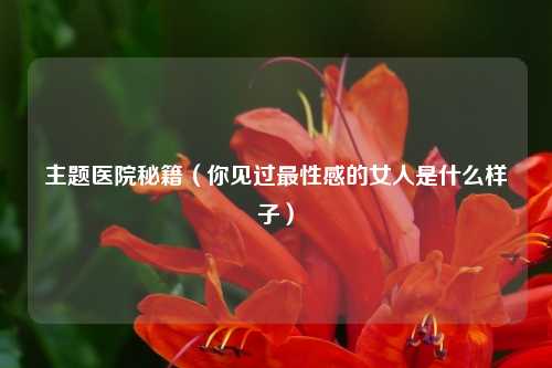 主题医院秘籍（你见过最性感的女人是什么样子）