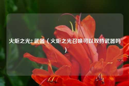 火炬之光2 武器（火炬之光召唤可以双持武器吗）